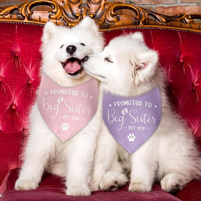 2 Pack Promoted to Big Sister Dog Bandana 2026 Pregnancy Announcement Gender Reveal Dog Outfit Baby Announcement Photo Prop Pet Scarf Accessories for Small Medium Large Dog