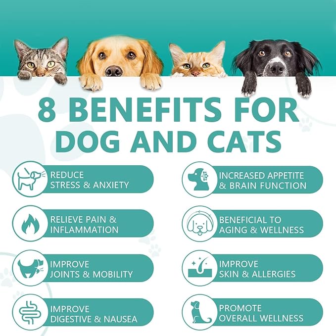 (2 Pack) Max Potency Hemp Oil for Dogs & Cats - Help Anxiety Stress Pain Inflammation Arthritis Aggressive Relax Sleep Allergies Seizures Relief - Treats Chews Joint & Hip - Organic Pet Calming Drops