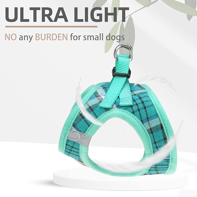 PUPTECK Adjustable Dog Harness Collar and Leash Set Step in No Pull Pet Harness for Small Medium Dogs Puppy and Cats Outdoor Walking Running, Soft Mesh Padded Reflective Vest Harnesses, Lake Green XS