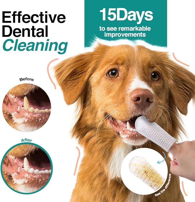 Dog Teeth Cleaning Wipes (90 Count) - No-Rinse Cat Toothbrush, Effective Dog Breath Freshener - Essential Pet Supplies (1.65 in x 3.15 in)