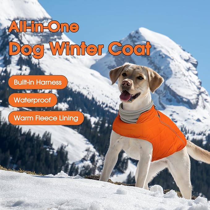 QBLEEV Dog Coat for Medium Dogs, Waterproof Dog Winter Coat with Built-in Harness and D-Ring, Zip Up Pet Cold Weather Coats with Fleece Lined, Warm Snowsuit Gear Vest for Pug Boston Terrier, Orange, M