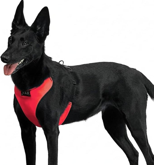 YAP Techno® No Pull Harness for Small Dogs, 4-Way Adjustable, Temperature Controlled Pet Vest Harness, Chokefree Dog Harness with Easy Control Handle for All Breeds; 15-25 lbs (Imperial Red, Small)