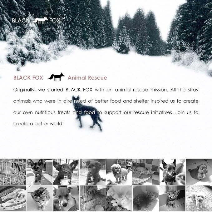 BLACK FOX Freeze-Dried Beef Liver Training Treats for Dogs and Cats | 260 Treats, 4oz, Single Ingredient, Raw Healthy, All Natural, Human Grade, Recyclable Packaging