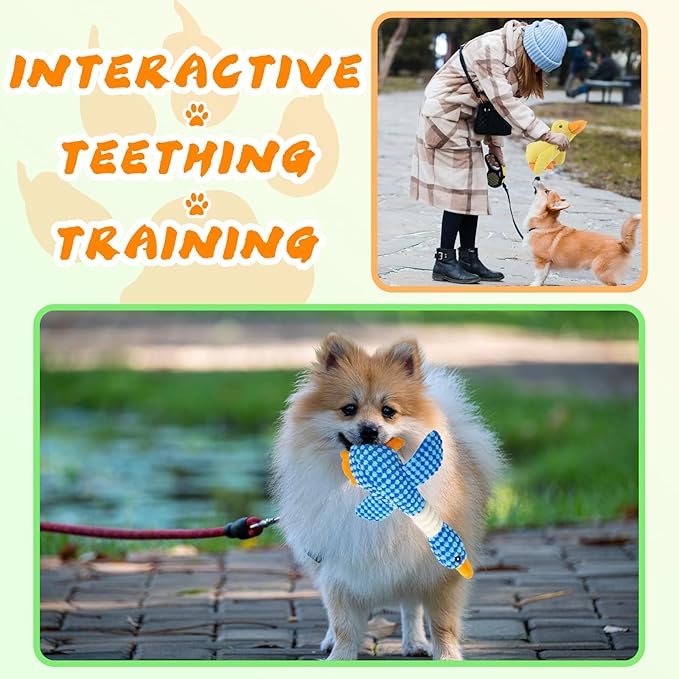 DAJOOEE 2 Pack Duck Squeaky Dog Toys Durable Dog Toys Puppy Toys for Large Medium Small Dogs