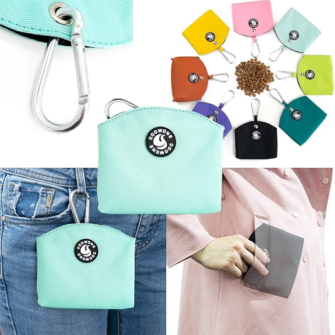 COOWONE Dog Treat Pouch Magnetic Closure Small Dog Training Treat Pouch Pocket Sized Small Dog Treat Pouch with Clip (mint green)