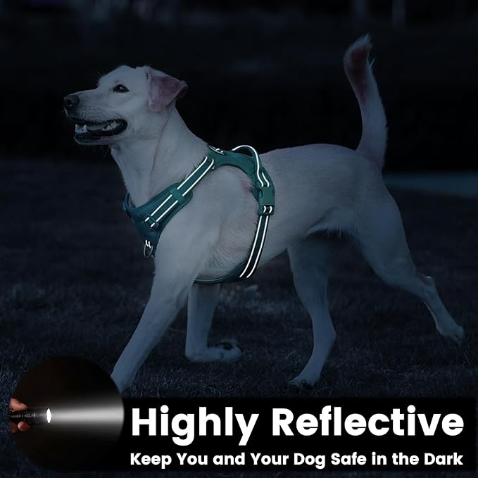 No Pull Dog Harness, Reflective Puppy Vest for Small Medium Large Sized Dog(MARRS Green,S)
