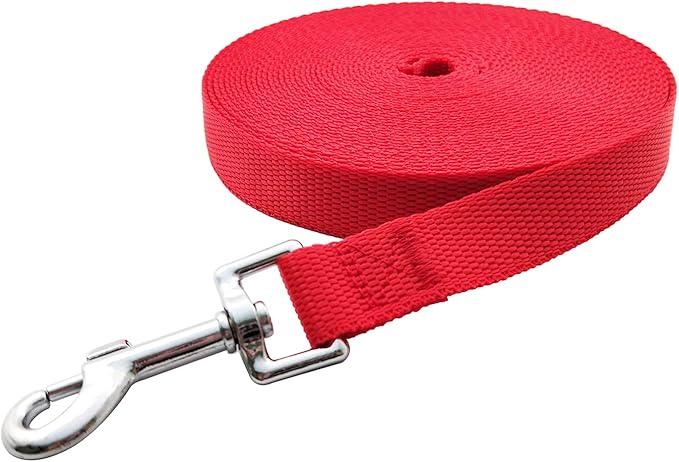 Nylon Training Dog Leash for Small Medium Large Dogs, 15ft 20ft 30ft 50ft Long Leash Dog/Puppy Lead for Obedience Recall Training, Camping (1" x 20ft, Red)