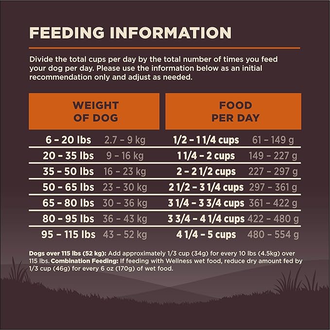 Wellness CORE Dry Dog Food, Grain-Free, High Protein, Original Turkey & Chicken Recipe, (35-Pound Bag)