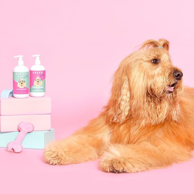 Everydog Nourishing Dog and Cat Conditioner for All Coat Types, Moisturizing and Detangling with Aloe, Oat Milk, Plant Based Emolients for Shiny Soft Smooth Coat (16 oz)