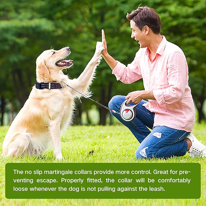 Hikiko Martingale Dog Collars Reflective Nylon Dog Collar with Quick Release Buckle Adjustable Training No Slip Dog Collar (Medium, Coffee Brown)