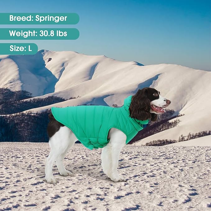 Dog Coat for Large Dogs, Dogs Snow Jacket with Back Zipper, Winter Warm Dog Puffer Vest with Detachable Neck Wrap, Winter Pet Clothes Elastic Band on Chest for Springer, Dalmatian, Green L