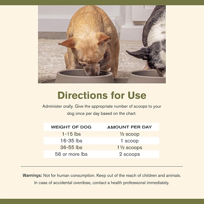 Badlands Ranch - Super Gut Biotics Canine Digestive Supplement,Probiotics, Prebiotics, Supports Healthy Digestion, Immune System Function and Gut Flora by Katherine Heigl (30 Scoops)