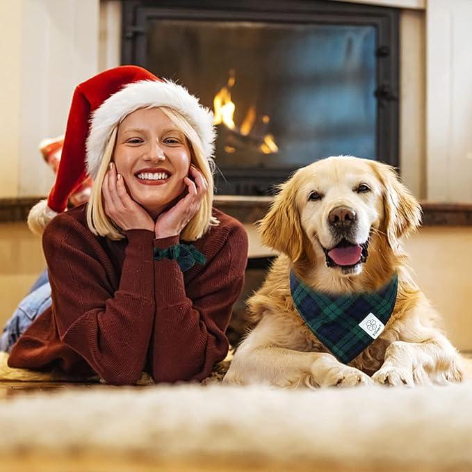 E-Clover Christmas Dog Bandanas Boy & Matching Scrunchie Set Plaid Dog Scarf Kerchief for Medium Large Dog Pet Bandana Owner Gifts Blue Green Fall