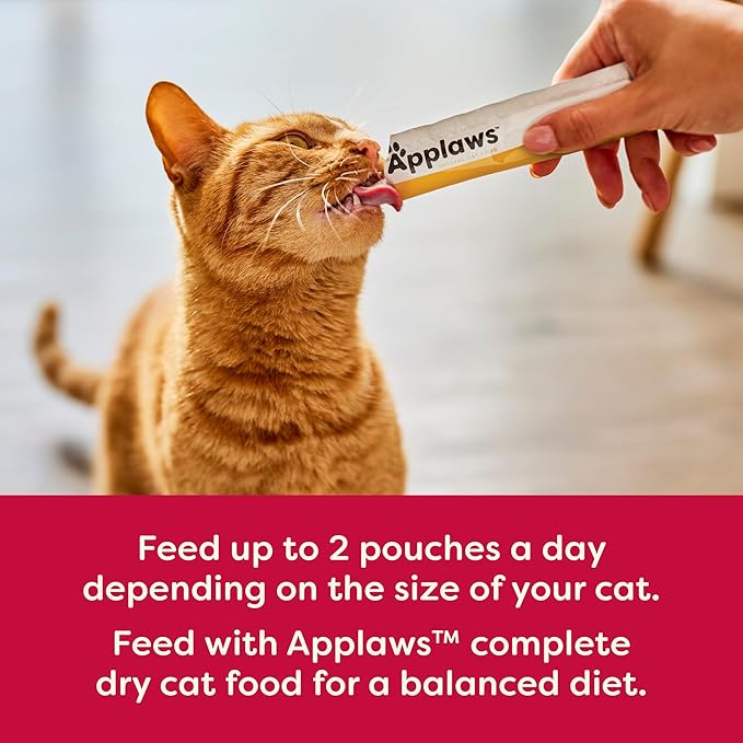 Applaws Lickable Holiday Cat Treats, Natural Grain-Free Purée, Made with Limited and Natural Ingredients, No Artificial Additives, Chicken, Tuna & Salmon Squeeze Up Cat Treats (60 x 0.5 oz Sachets)