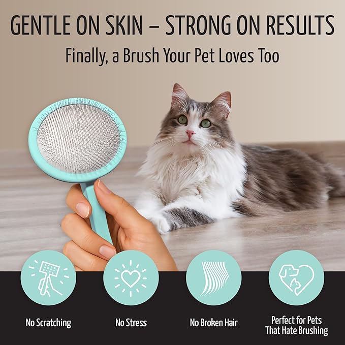 Tauro Pro Line Wooden Deshedding Dog Brush for Long Goldendoodle, Labradoodle & Poodle Hair - Mint Slicker Brush for Dog & Cat Grooming - Round Flexible Cushion & Non-Slip Grip