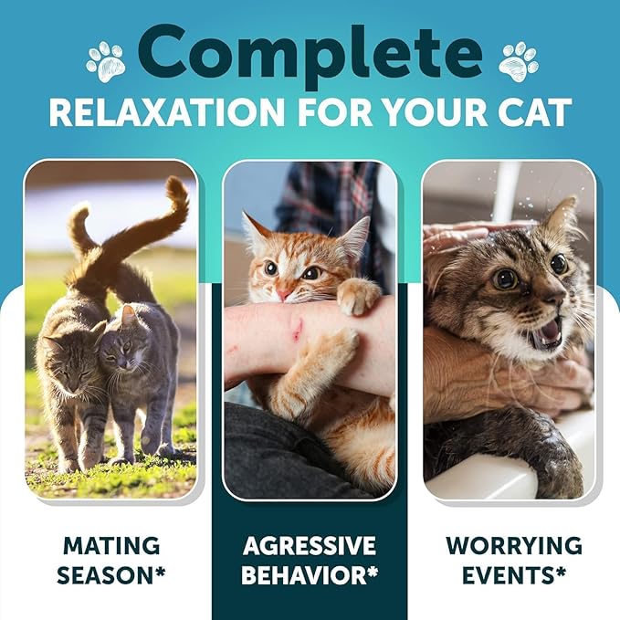 Hemp Cat Calming Treats for Stress & Anxiety Relief - Cat & Kittens - Melatonin - Storm Anxiety, Сomposure, Grooming, Separation, Veterinary Visits, Travel Care - Calming Aid with Hemp Oil - 135 Chews