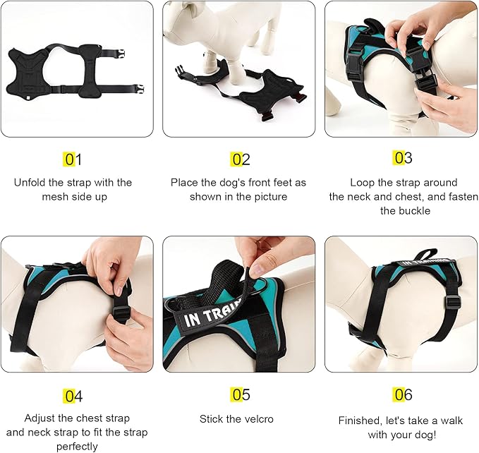 Demigreat Dog Service Harness, Reflective, Adjustable, Durable, Large, Turquoise, Solid