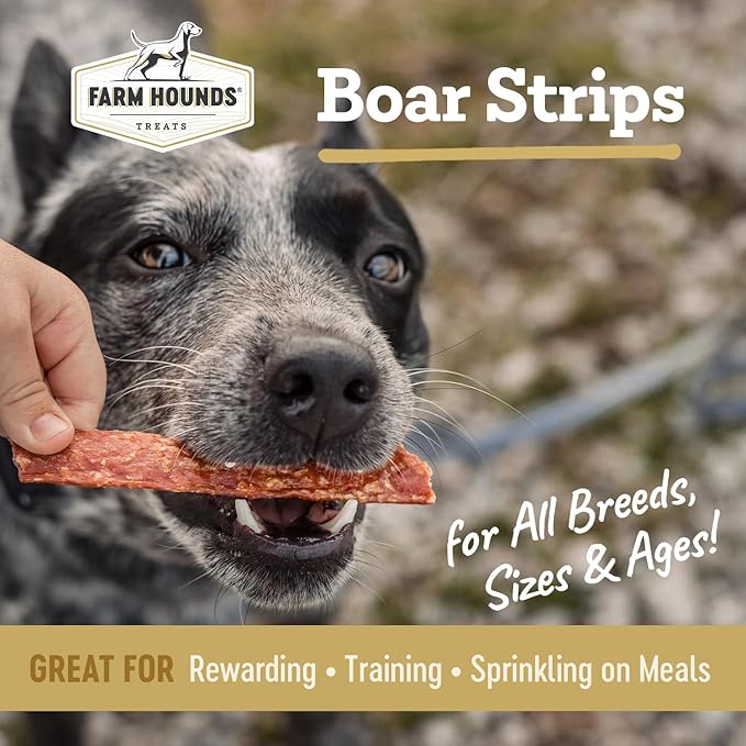 Farm Hounds - Boar Strips - Premium Natural Jerky for Dogs - from 100% Humanely Raised Boar - Break-to-Size - Great for Training & Treats - No Added Fillers - Made in USA - 4.5 oz - 2 Pack