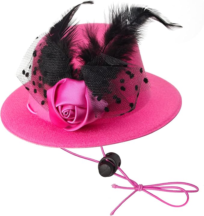 Yewong Formal Top Hat Fascinator Set with Pet Pearl Collar for Kentucky Derby, Christmas, Weeding, Photo Props Party (Pink)