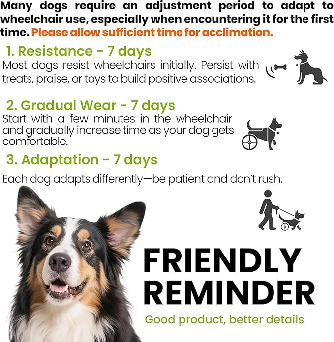 Dog Wheelchair for Back Legs, for Small Breed Dog - Includes High-Visibility Vest, Leash & Sling Lift, for Arthritis, Paralyzed, Injured, or Disabled Dogs - Small