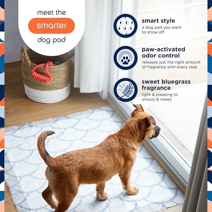 Pet Life Unlimited Smart Prints Extra Extra Large Puppy Pads – 30" x 36", 30 Count (XXL) | Stylish Dog Training Pads with Odor Controlling Wetness-Activated Sweet Bluegrass Scent | USA Made