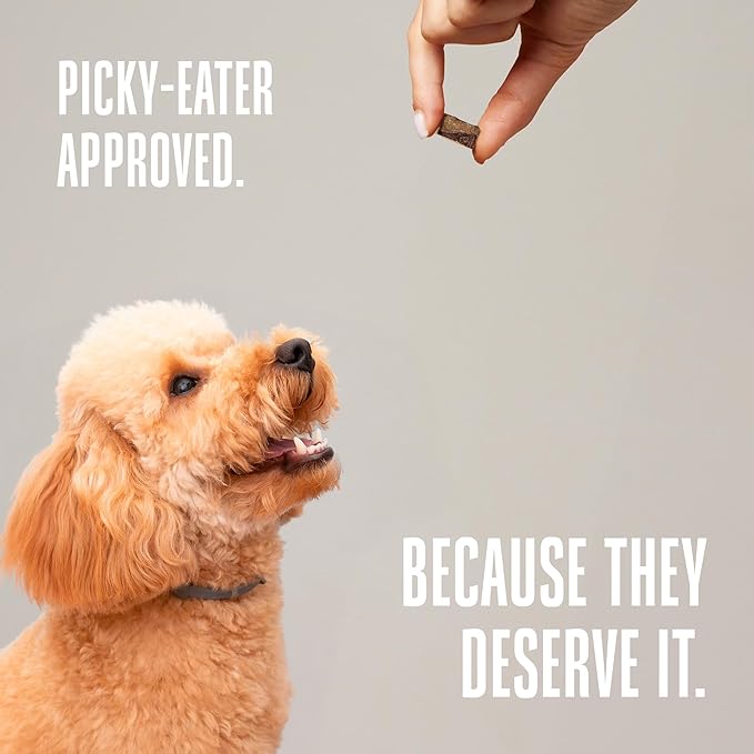 Whole Life Dog Mini Ones Beef Liver Freeze Dried Dog Treats - Human Grade High Protein Food, Healthy Training Snacks, Freeze Dried Food Toppers, USA Made Natural Treats - 6 oz (Pack of 1)