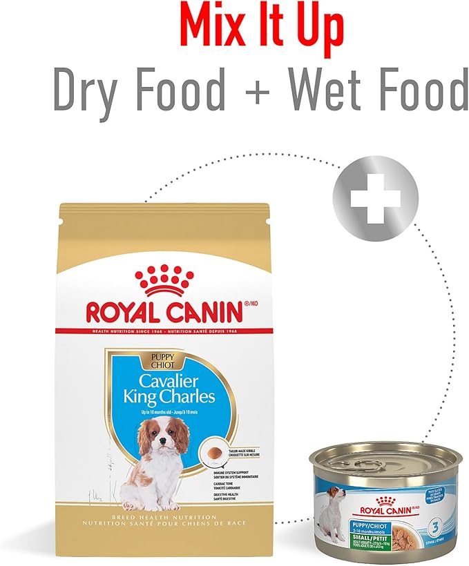 Royal Canin Breed Health Nutrition Cavalier King Charles Spaniel Puppy Dry Dog Food, 3 lb Bag