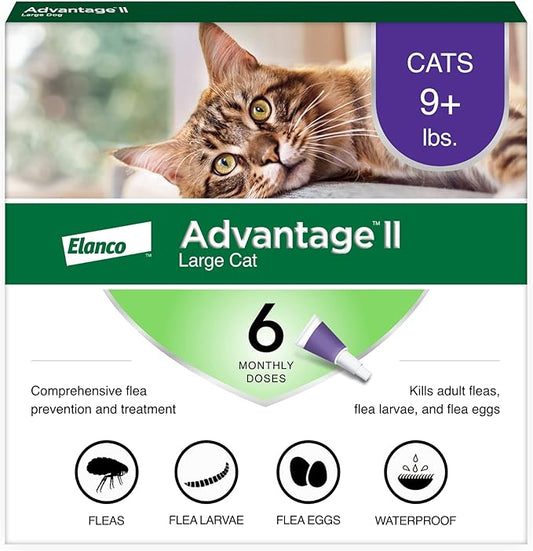 Advantage II Large Cat Vet-Recommended Flea Treatment & Prevention | Cats Over 9 lbs. | 6-Month Supply