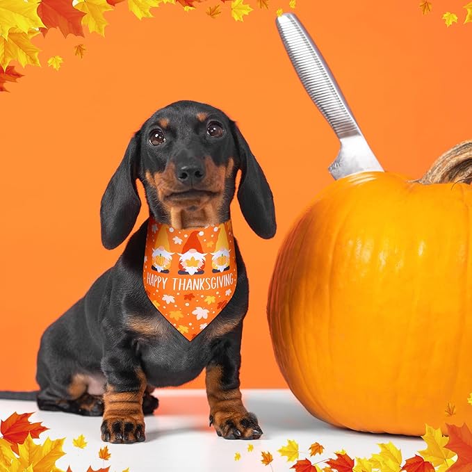 Newwiee 100 Pcs Thanksgiving Dog Bandanas Bulk for Large Dogs Fall Pumpkin Maple Leaf Triangle Bandanas Bibs Adjustable Pet Scarf Holiday Soft Breathable Thanksgiving Day Scarf Accessories for Puppy