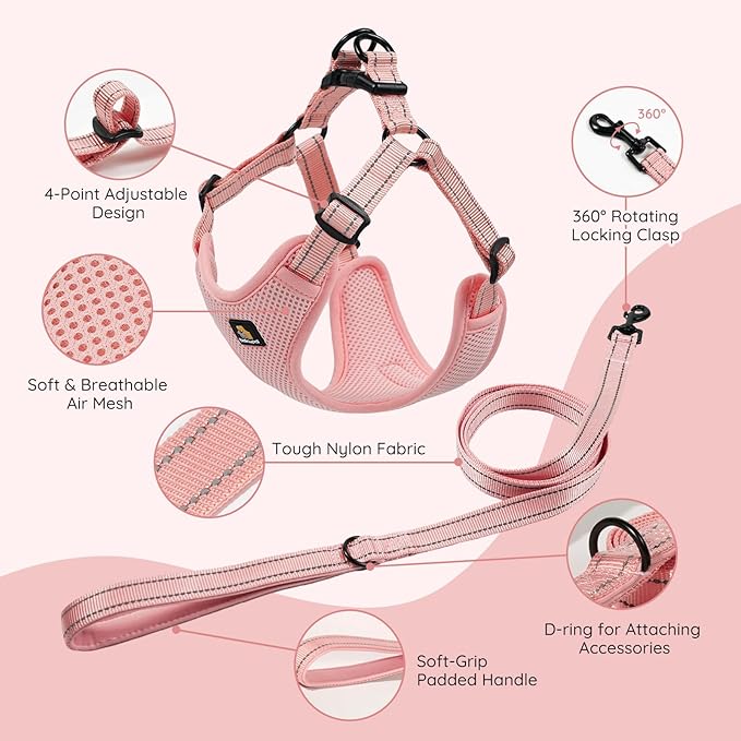 BELLA & PAL Adjustable Step-in Dog Harness, Puppy No-Pull Vest with Leash Set for XS/Small & Medium Dog, Breathable All-Weather Mesh, Reflective Strip, Secure Hook & Loop, Buckle Closure, Dual D-Rings