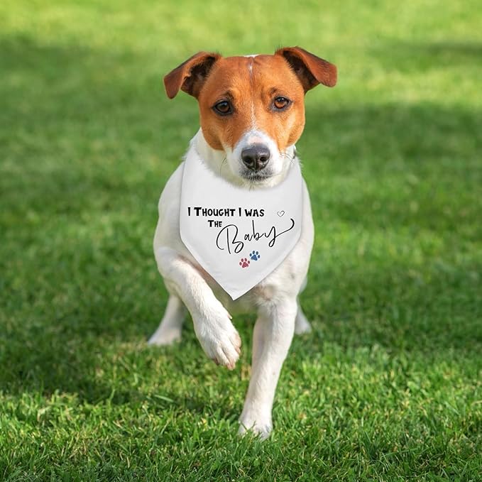I Thought I was The Baby Pregnancy Announcement Dogs Bandana White Triangle Scarf Dog Bandana Baby Announcement Photo Prop Pet Scarf Accessories for Pet Dog Lovers Gifts
