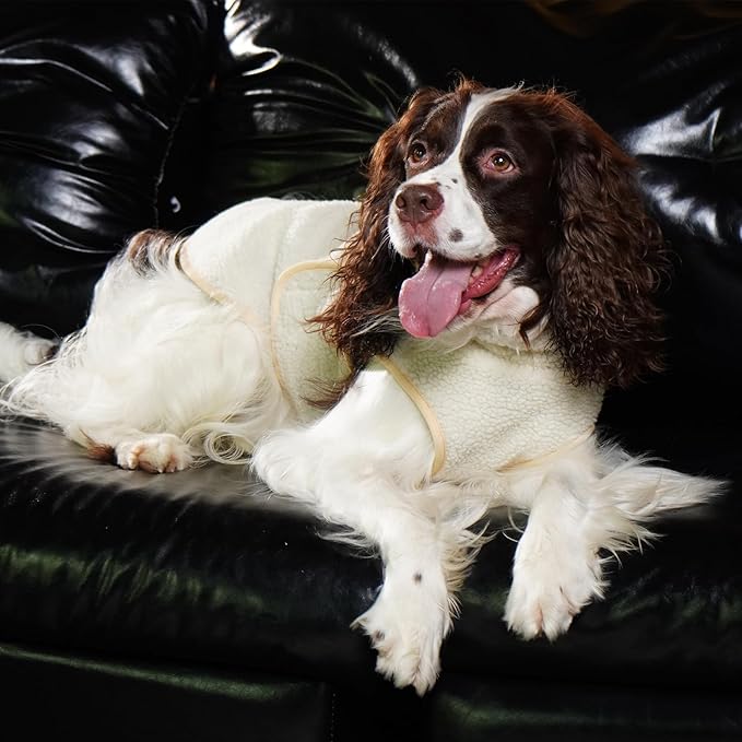 ROZKITCH Reversible Fleece Dog Jacket, Super Warm Sherpa Sweater with Leash Hole & Embroidery, Adjustable Double-Sided Plush Vest for Medium Breeds Outdoor Indoor DarkBlue L