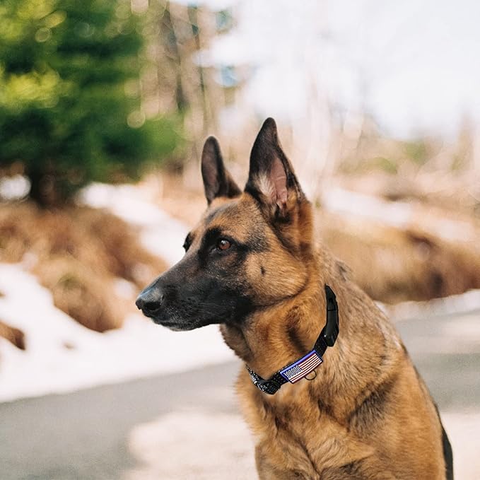 Martingale Collar for Training Dogs. Adjustable Reflective Collars with Buckle-USA Flag- NO Pull-Prevents Slipping Out, for Medium Large XL Dogs. Helps with Strong pullers(L, Black)
