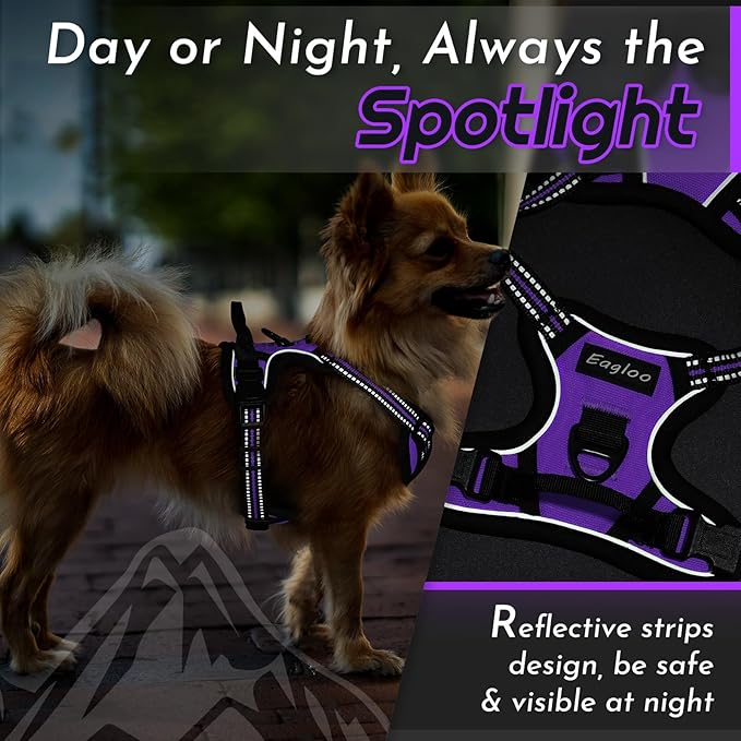 Eagloo Small Dog Harness No Pull, Service Vest with Reflective Strips and Control Handle, Adjustable and Comfortable for Walking, No Choke Pet Harness with 2 Metal Rings, Purple, XS