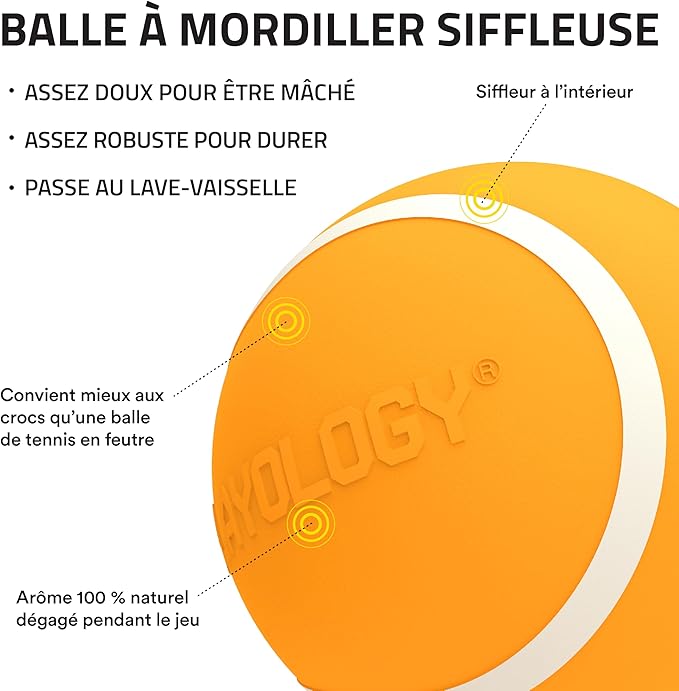 Playology Dog Toys | Squeaky Chew Ball - Bouncy Durable Floating Fetch Ball for Dogs | Medium Cheddar Cheese Scented Toy - Easy to Clean and Made from Non Toxic Materials