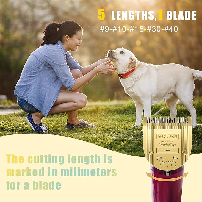 COSYONALL Adjustable Dog Grooming Clipper 5-in-1 Blade Compatible with WAHL Professional Animal Clipper Arco, Bravura, Chromado, Creativa, Figura, and Motion Pet, Dog, and Horse (Gold/2PC)