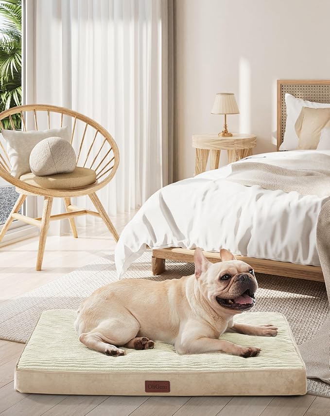 OhGeni Orthopedic Waterproof & Machine Washable Dog Bed for Small Medium Pets, Suitable for Crates, Cat Mat with 25D Egg Crate Foam, Removable Cover, 30 Inches(Khaki)