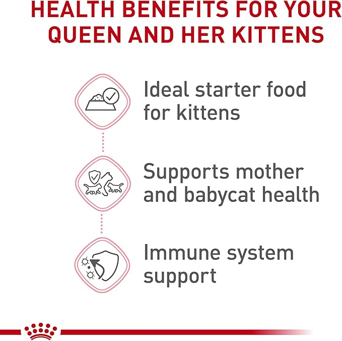 Royal Canin Feline Health Nutrition Mother & Babycat Queen Ultra Soft Mousse in Sauce Cat Food, 3 oz (Pack of 6)