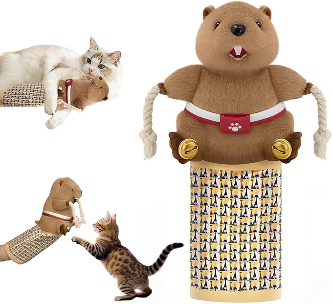 Cat Wrestling Glove, Cats Puppet Wrestler with Tough Padding for Safe Interactive Play, Cat Wrestling Toy Puppet with Cats Teaser and Bell for Boredom Busting Training and Exercise