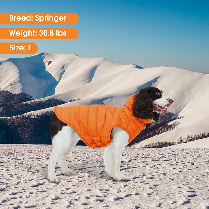 Large Dog Winter Coat with Back Zipper & Detachable Scarf, Waterproof Warm Dog Snow Jacket, Dogs Puffer Vest for Golden Retriever, German Shepherd, Orange 2XL