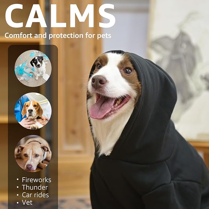 SCENEREAL Thanksgiving Dog Hoodie with Leash Hole Male Female - Warm & Soft Fleece Pet Sweater Clothes Sweatshirt with Leaf Pattern, Cold Weather Coat for Small Medium Large Dogs Puppies, M