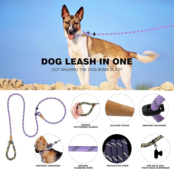 lynxking Slip Lead Dog Leash Reflective, Heavy Duty Comfortable Strong Rope Leash for Large Medium Small Dogs No Pull Training (Light Purple, Small 3/8in x 6ft-Slip Lead)