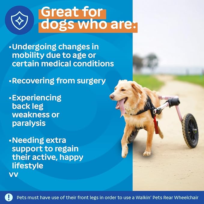 Walkin' Wheels Dog Wheelchair - for Med/Large Dogs 50-69 lbs - Veterinarian Approved - Dog Wheelchair for Back Legs