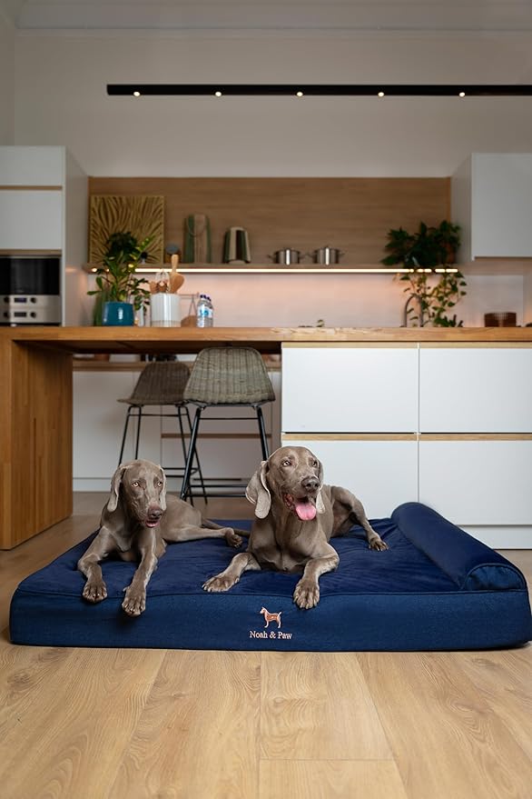 NOAH & PAW Giant Dog Bed XXL 55x45x9.5 Inch, Orthopedic Dog Beds, Eggshell Memory Foam Infused with Cooling Gel, Waterproof, Machine Washable, Includes Inner Cover (Denim Collection)
