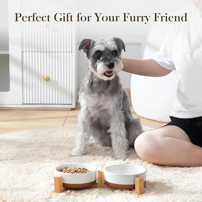 MALACASA Ceramic Dog Bowls, Dog Water/Food Dish with Wood Stand Non-Slip,14oz, Pet Basic Bowls for Your Puppy, Small Dogs or Cats,Glaze Matte Weighted Non-Slip (S-1.5 Cups)