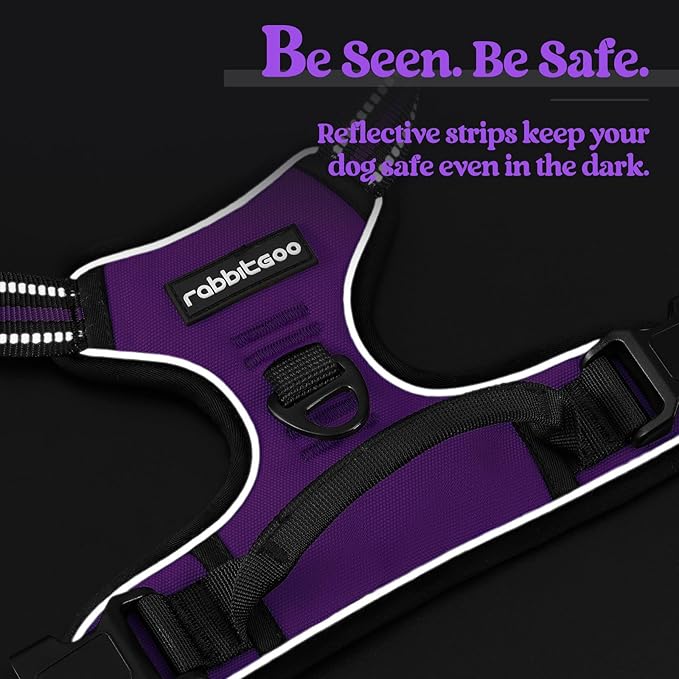 rabbitgoo Dog Harness No Pull with 2 Leash Clips, Adjustable Soft Padded, Reflective Oxford No Choke Pet Vest with Easy Control Handle for Large Dogs, Purple, XL