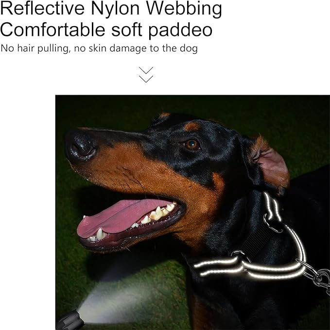 Martingale Dog Collar Reflective Nylon Soft Cushion with Alloy Buckle Dog Collar Martingale Small Medium and Large Dogs (Large, Black)