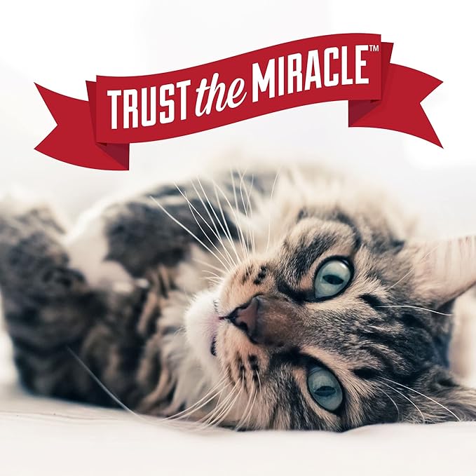 Nature's Miracle Urine Destroyer Plus for Cats, Enzymatic Formula for Severe Cat Urine Stains, 1 Gal