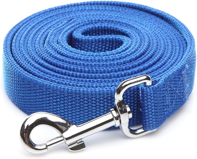 Strong Nylon Dog Leash with 2-Layer, 4 FT/ 6 Feet Long, 1 Inch Wide for Medium Large Dogs (1'' x 7 FT, Blue)