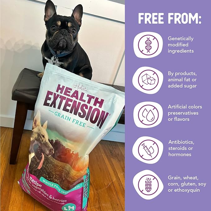 Health Extension Grain Free Salmon & Sweet Potato Dry Dog Food (10 lb / 4.54 kg) - Whole Foods Ingredients Formula with Omega 3 & Antioxidants for All Life Stages Dogs